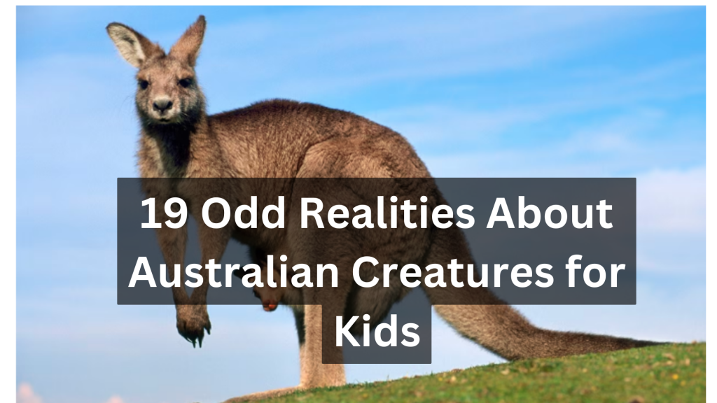 19 Odd Realities About Australian Creatures for Kids