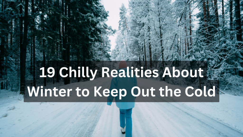 19 Chilly Realities About Winter to Keep Out the Cold