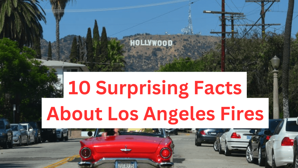 10 Surprising Facts About Los Angeles Fires