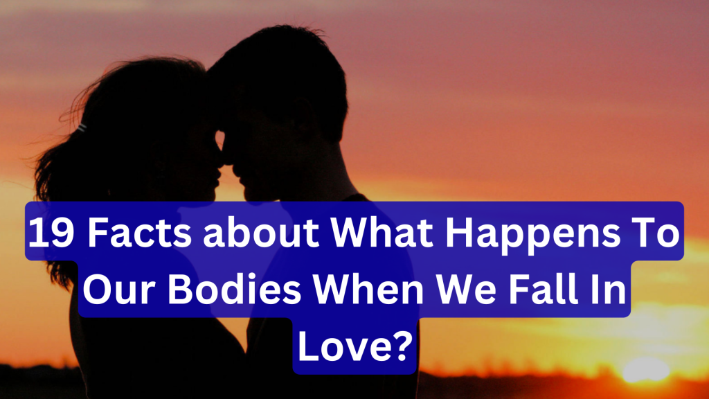 19 Facts about What Happens To Our Bodies When We Fall In Love?