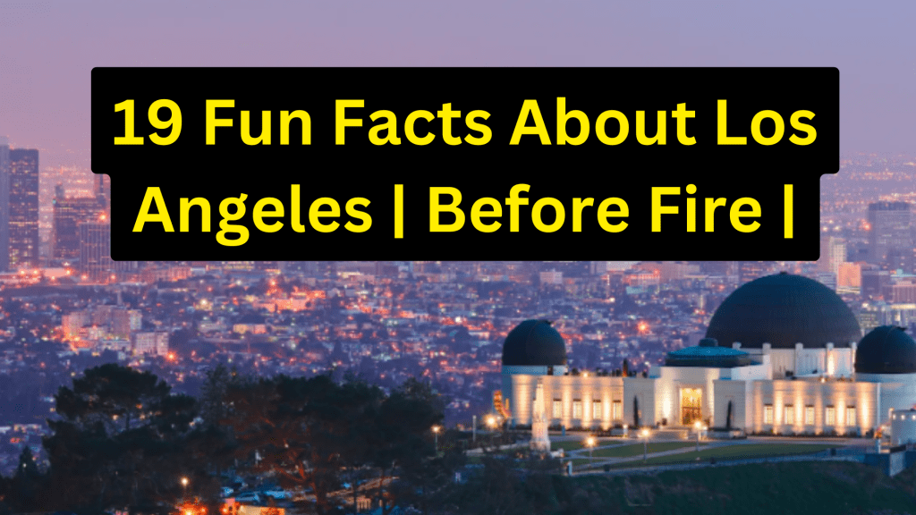 19 Fun Facts About Los Angeles | Before Fire |