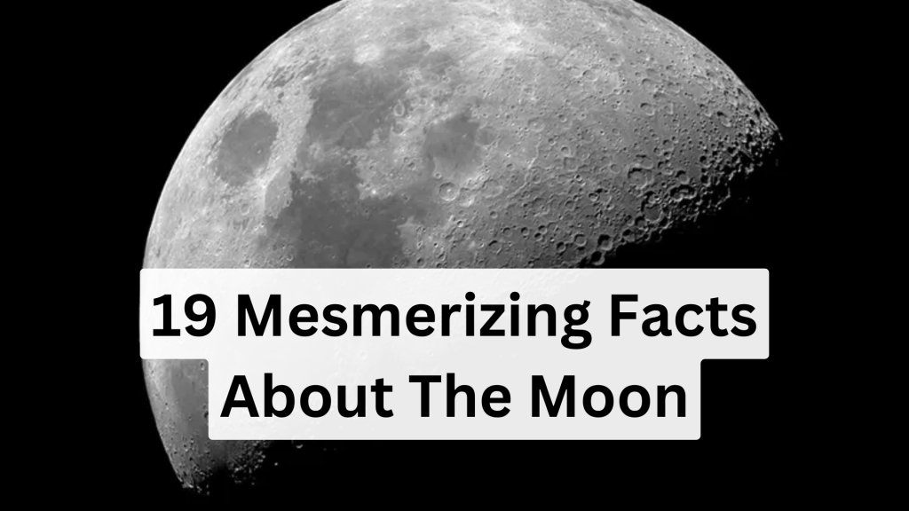 19 Mesmerizing Facts About The Moon