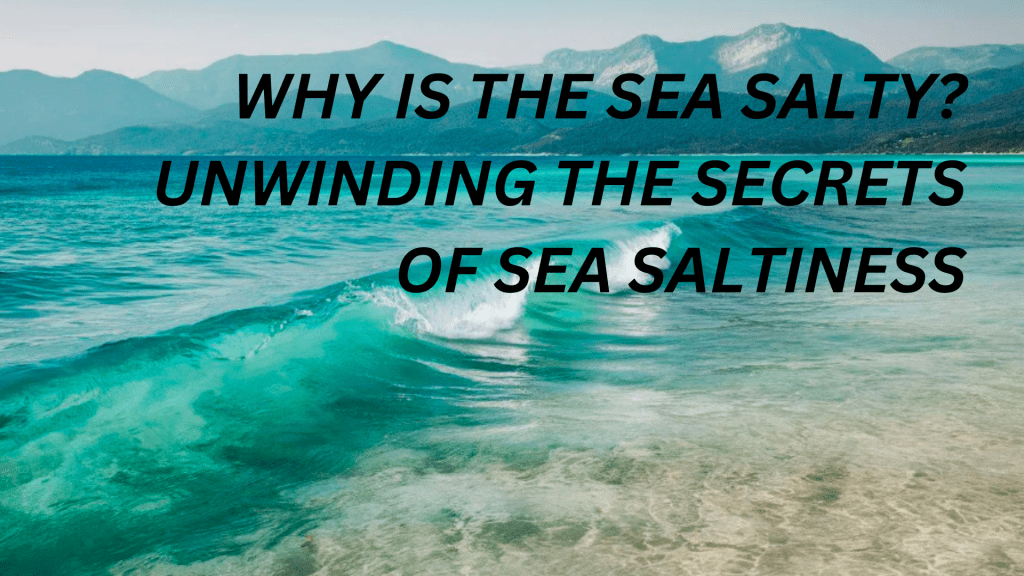 Why is the Sea Salty?Unwinding the Secrets of Sea Saltiness