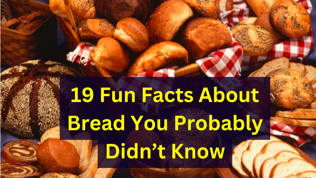 19 Fun Facts About Bread You Probably Didn’t Know