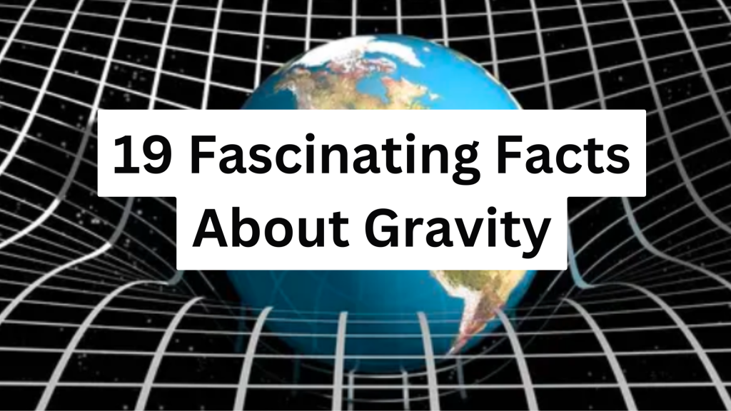 19 Fascinating Facts About Gravity